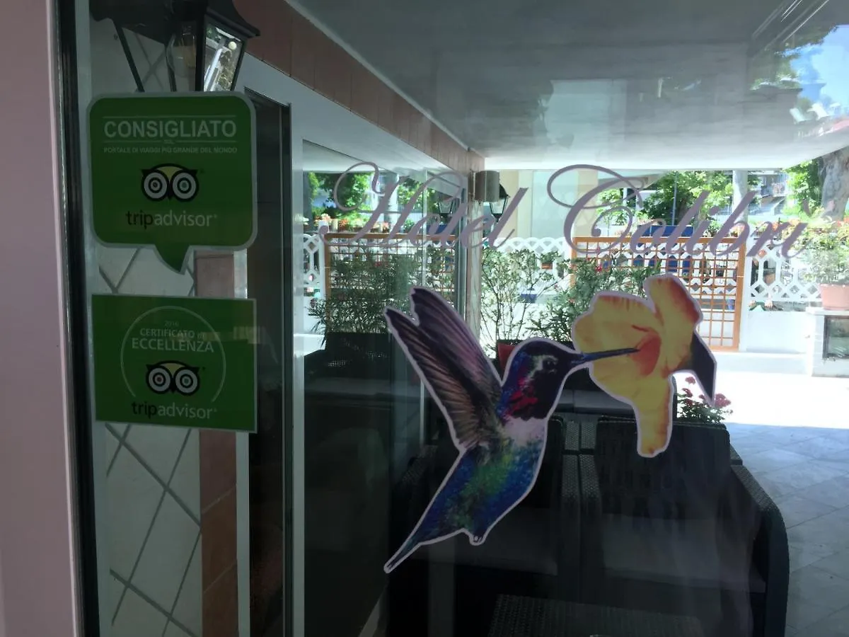 Hotel Colibri B&B Rimini 3*,